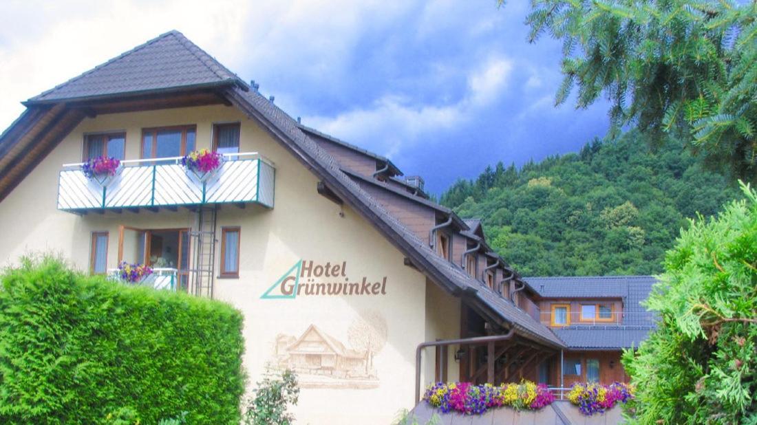 Hotel Gruenwinkel Oberharmersbach Kültér fotó